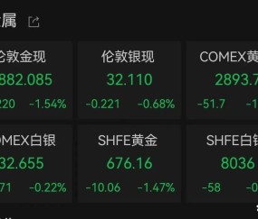 SHIB冲破62美元大关，牛市是否已来临？-九游体育app