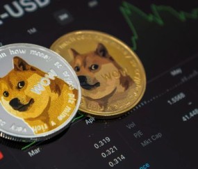 专家称狗狗币将在年底冲破XRP美元，引发引发关注-九游体育
