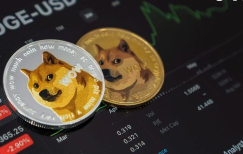 专家称狗狗币将在年底冲破XRP美元，引发引发关注-九游体育