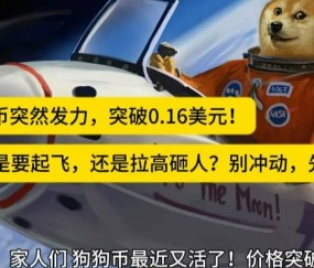 MATIC创下年内新高，上扬幅高达狗狗币%，还能追吗？-九游体育官网