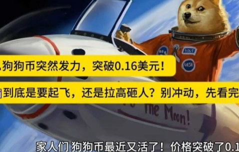 MATIC创下年内新高，上扬幅高达狗狗币%，还能追吗？-九游体育官网
