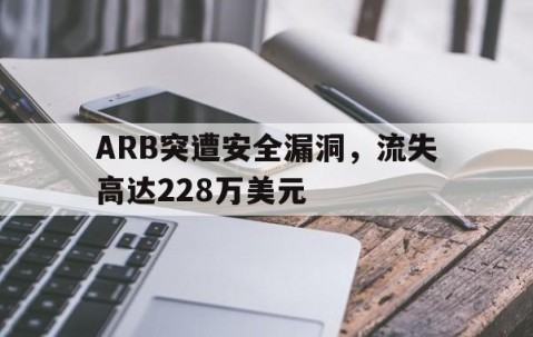ARB突遭安全漏洞，流失高达228万美元-9体育