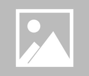 C9引发争议！，TheShy官方宣布锐不可当新规比赛高潮迭起-九游体育app