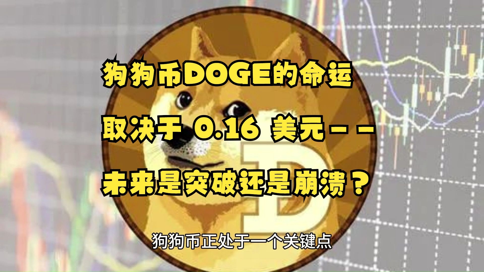 专家称狗狗币将在年底冲破XRP美元，引发引发关注