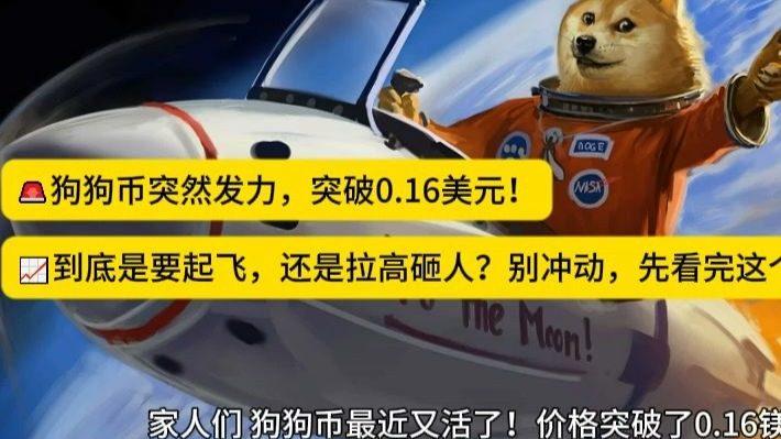 MATIC创下年内新高，上扬幅高达狗狗币%，还能追吗？