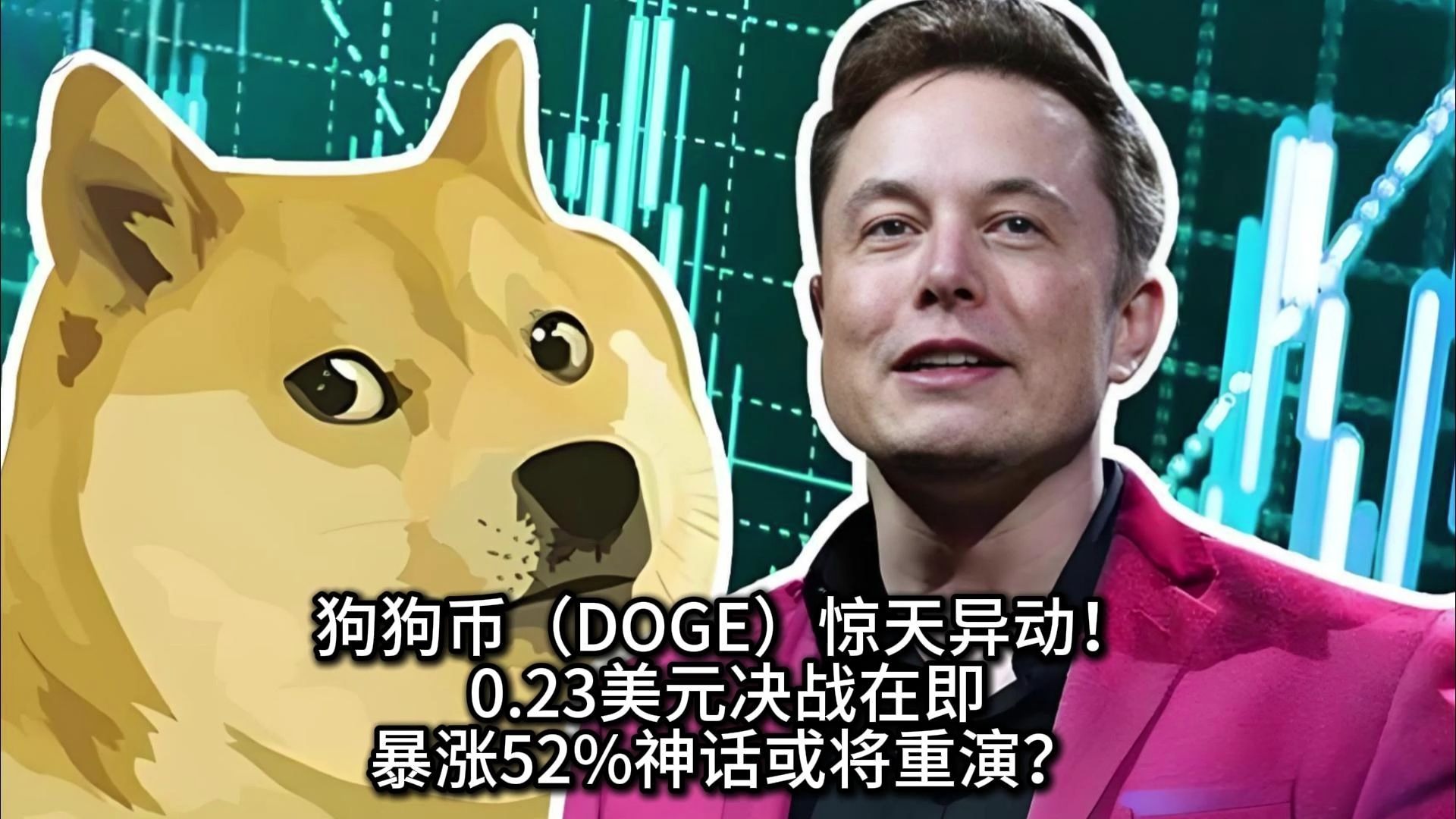 狗狗币冲破224美元大关，牛市是否已来临？的简单介绍